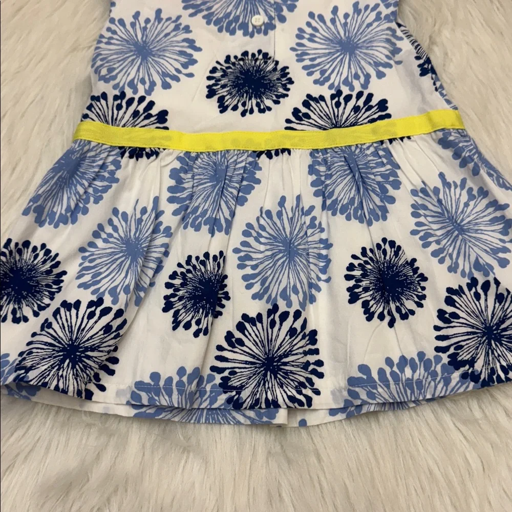 Gymboree Girls Pocketful Sunshine Dandelion Toddler Dress Blue & White 12-18M